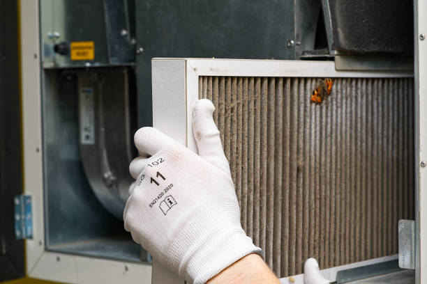 Best Home Air Vent Cleaning  in Wyndmoor, PA